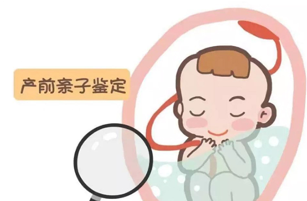 四川怀孕需要怎么办理DNA亲子鉴定,